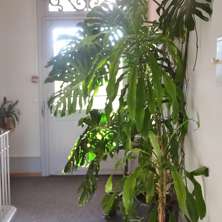 Hotel Restaurant Bahnhof 3*